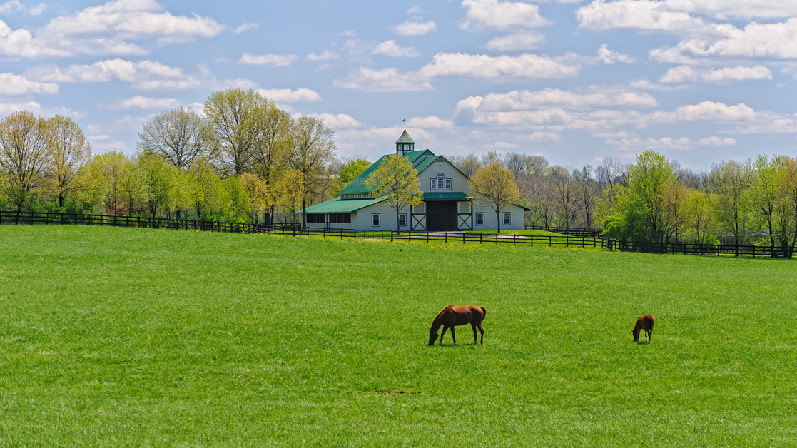 US Equine Farm insurance
