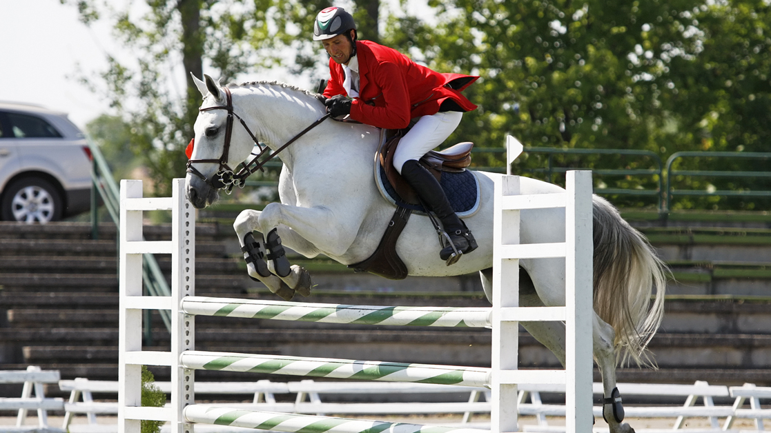 horse show jumping