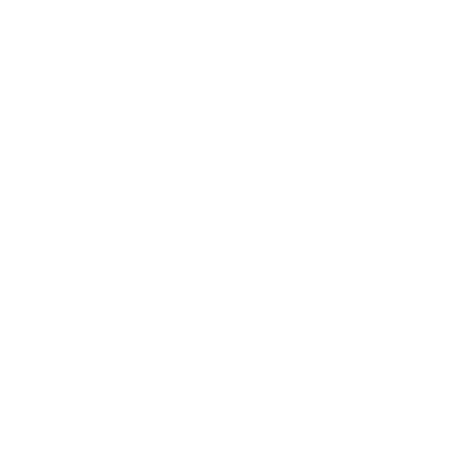 Connection icon