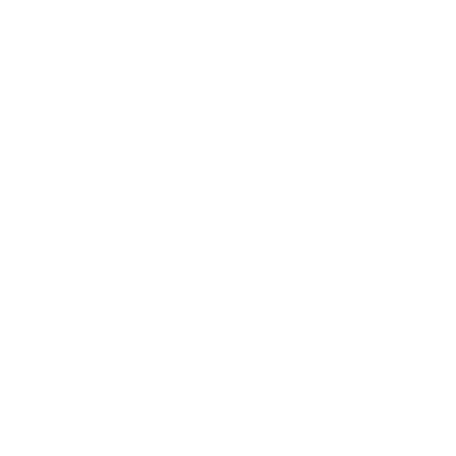 Connectivity icon