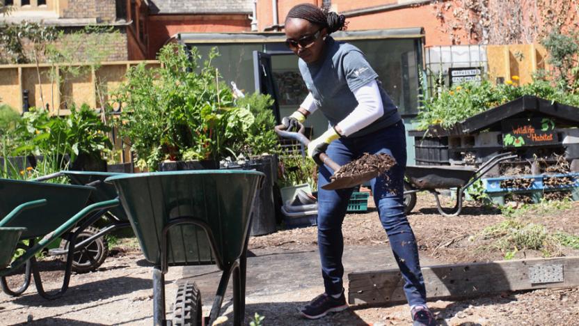 Women putting soil into wheel barrow with shovel
