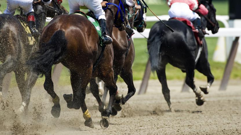 horse racing on track