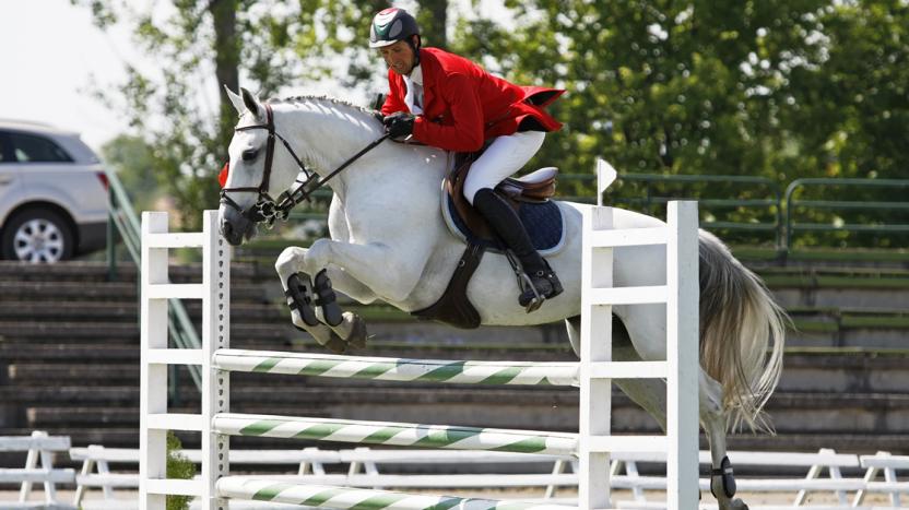 horse show jumping