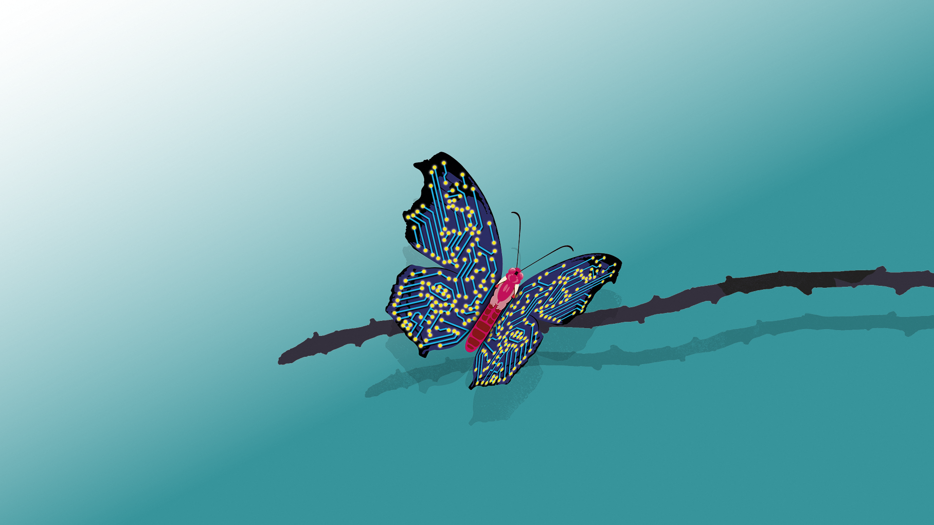 Campaign Butterfly